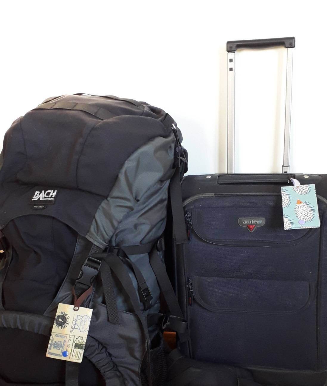 Brown Hedgehog Luggage Tag - Wild Abandon